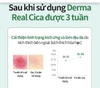Nước dưỡng hoa hồng cân bằng và  làm dịu tức thì cho da nhạy cảm 120ml - Derma Atomy Derma Real Cica Toner - 애터미 더마 리얼 시카 토너  - Атоми Центелла Тонер