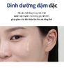 Tinh chất Tế bào gốc trẻ hóa da, tái tạo Collagen và phục hồi da căng bóng 50ml - Atomy absolute Cellactive ampoule - 애터미 앱솔루트 셀랙티브 앰플 - Атоми СеллАктив Ампула