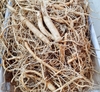 Rễ sâm tươi hàn quốc 1kg