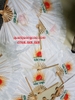 Quạt giấy tặng sự kiện