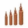 Cáp đồng trần 120mm2