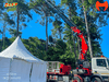 cau-gap-fassi-f155a-0-22-6-1-tan-nhap-khau-chinh-hang-y