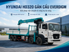 so-sanh-hd320-gan-cau-everdigm-12-tan-va-15-tan