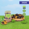 Nho Khô Chile mix ( hũ 500gr )