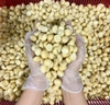 Hạt Macca Úc đã tách vỏ - hạt bể ( hũ 500gr )