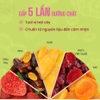 Mixed Fruit 5 loại trái cây sấy ( hũ 500gr )