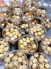 Trail Mix 9 loại hạt và trái cây sấy ( hũ 500gr )