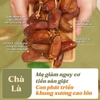 Chà Là khô Nguyên Cành Tunisia ( hộp nhựa 250gr )