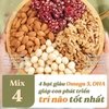 Mixed nuts 4 loại hạt dinh dưỡng Macca, Óc Chó Vàng, Óc Chó Đỏ, Hạnh Nhân đã tách vỏ