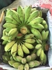 Chuối sáp CHƯA NẤU - 1 nãi