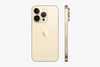 Vàng (Gold)