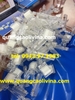 Kẹp Pop 4022-AS2-Trong