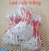 LED RUỒI 5MM MÀU TRẮNG 5V