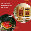 Cao Linh Chi Và Nấm Linh Chi Loại Nào Tốt Hơn? So Sánh Chi Tiết Từ A–Z