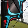 DIỀU 2 DÂY - STUNT KITE - PRO TATTOO 2.7M