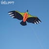 DIỀU SWALLOW 2.6M