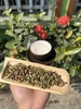 TRÀ MÓNG RỒNG - TRÀ RỪNG HOANG DÃ DÃY TÂY CÔN LĨNH (Hộp 300g cao cấp)