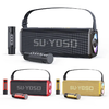 Loa Bluetooth Karaoke YOSD YS-228 Kèm 2 Micro
