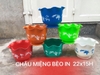 Chậu miệng bèo 22x15cm