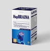 HupBRAINA