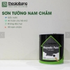 SƠN TƯỜNG NAM CHÂM