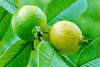 Những loại trái cây dồi dào Vitamin C