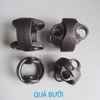 Quả bưởi