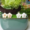 Bông khuyên tai ngọc trai Kiểu nụ Hoa đào Peach Pearl(6ly) - CTJ6906