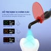 Công nghệ Auxiliary Focus hỗ trợ định vị vùng chiếu chính xác COXO DB686 HONOR