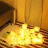 ĐÈN LED DÂY HOA HỒNG