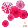 Bộ 6 hoa rẻ quạt sinh nhật