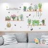 Decal dán tường cây cối XL7249