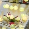 ĐÈN LED DÂY COTTON BALL THÁI LAN