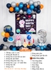SET BÓNG TRANG TRÍ SINH NHẬT BÉ TRAI CHỦ ĐỀ PHI HÀNH GIA PO-R032