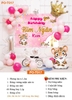 Combo phông nền sinh nhật đẹp PO.C023