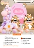 BÓNG BAY TRANG TRÍ SINH NHẬT CHO BÉ TUỔI HỔ PO - T032