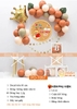 SET BÓNG TRANG TRÍ SINH NHẬT - SN.16H