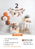 SET BÓNG TRANG TRÍ SINH NHẬT PHONG CÁCH HÀN QUỐC SD-D015