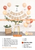 SET BÓNG TRANG TRÍ SINH NHẬT PHONG CÁCH HÀN QUỐC SD-D015