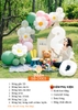 SET BÓNG TRANG TRÍ SINH NHẬT PHONG CÁCH HÀN QUỐC SD-D015
