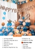 SET BÓNG TRANG TRÍ SINH NHẬT NGƯỜI LỚN SB-Q049