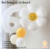 Set bóng số và hoa