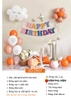 SET BÓNG TRANG TRÍ SINH NHẬT PHONG CÁCH HÀN QUỐC SD-D007