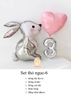 Set thỏ ngọc