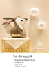 Set thỏ ngọc