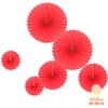 Bộ 6 hoa rẻ quạt