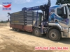 Dịch Vụ Tháo Dỡ, Di Dời Trạm Cân Điện Tử Chuyên Nghiệp