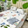 set-ga-goi-tencel-smart-khung-long-sggtcs-13