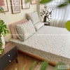 set-ga-goi-cotton-hoa-sac-mau-sggct183