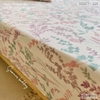 set-ga-goi-cotton-co-hong-sggct223